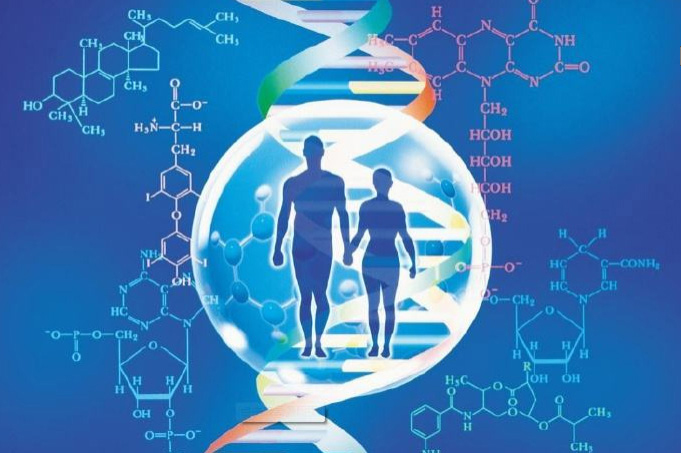 张家界DNA鉴定要多少费用,张家界隐私亲子鉴定需要什么流程