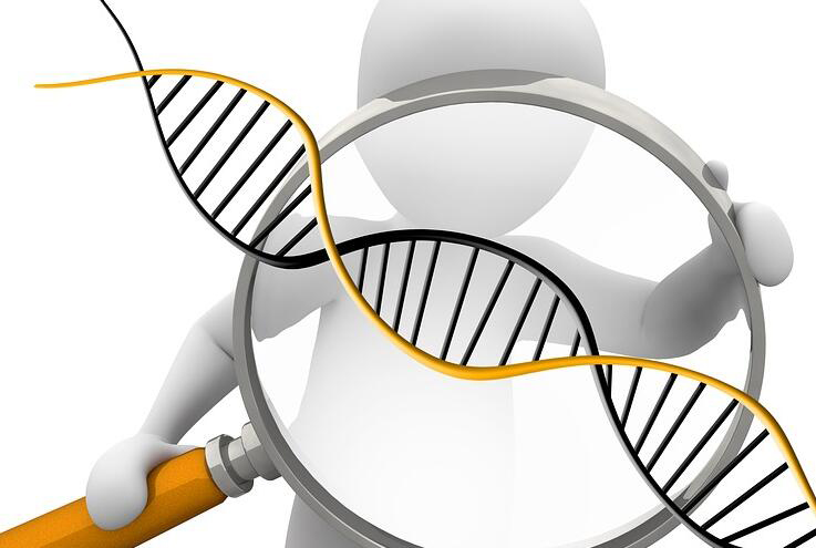 张家界DNA鉴定正规中心在哪里,张家界正规亲子鉴定机构大概多少钱